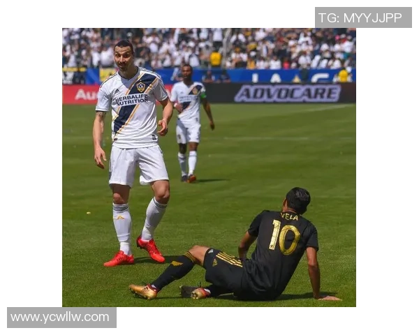 球星头像足球伊布是谁 了解这位传奇球员的职业生涯与成就